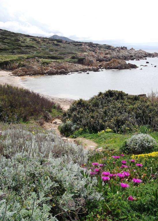 Villetta Cenni Santa Teresa Gallura Εξωτερικό φωτογραφία