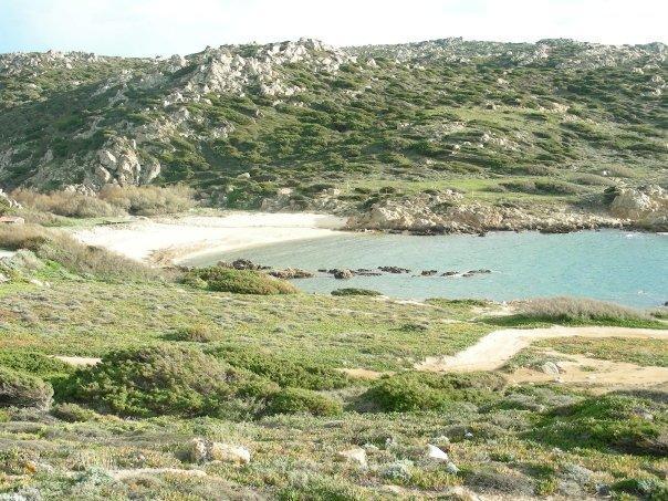 Villetta Cenni Santa Teresa Gallura Εξωτερικό φωτογραφία