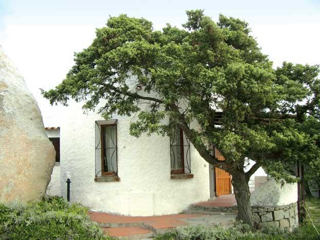 Villetta Cenni Santa Teresa Gallura Εξωτερικό φωτογραφία